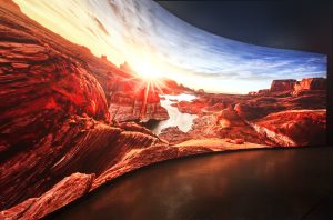 Curved LED Screens Rental