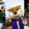 Mascots Hire